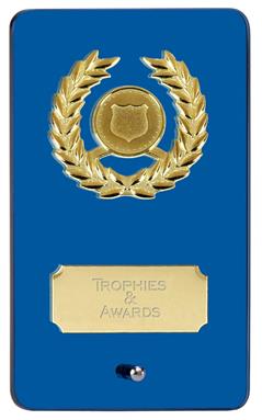 Blue Mirror Glass Plaque Award JC133DQ